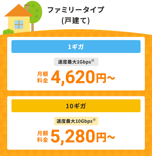 ホームタイプ 月額料金4,620円~